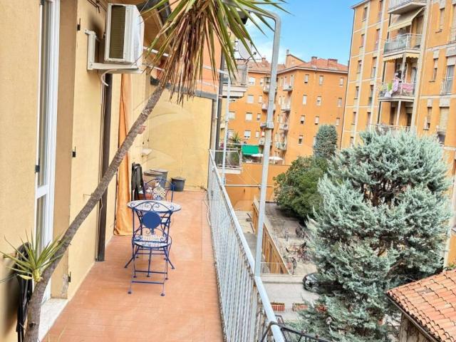 Appartamento in affitto a Bologna BO