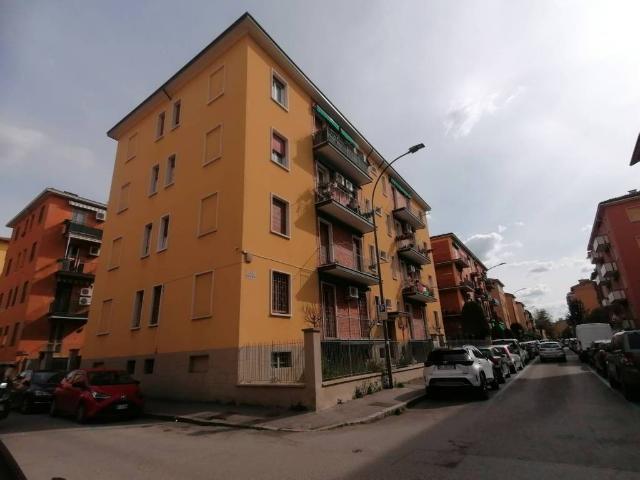 Appartamento in affitto a Bologna BO