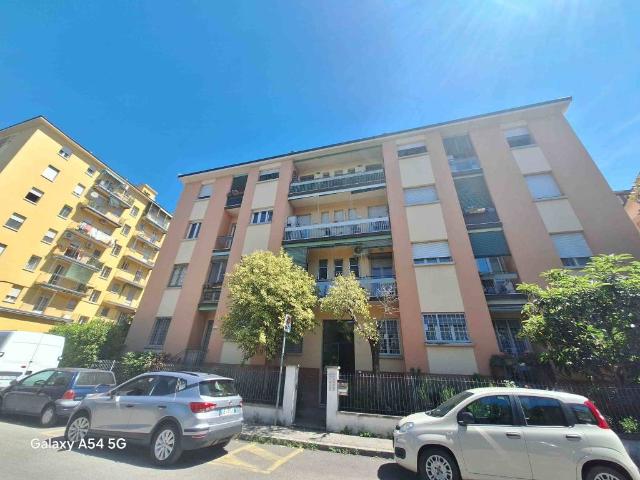 Appartamento in affitto a Bologna BO