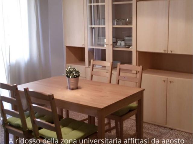 Appartamento in affitto a Bologna BO