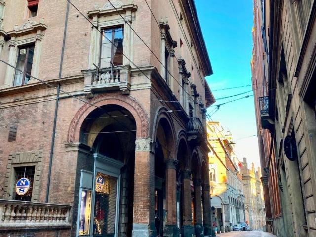 Appartamento in affitto a Bologna BO