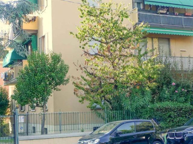 Appartamento in affitto a Bologna BO