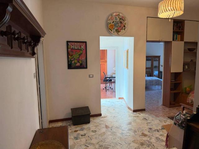 Appartamento in affitto a Bologna BO