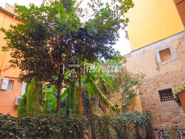 Appartamento in affitto a Bologna BO