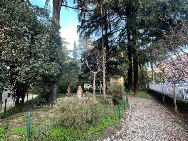 Appartamento in affitto a Bologna BO