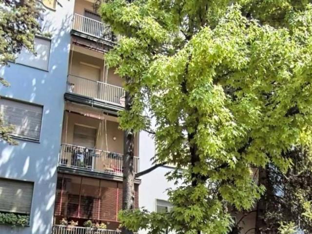 Appartamento in affitto a Bologna BO