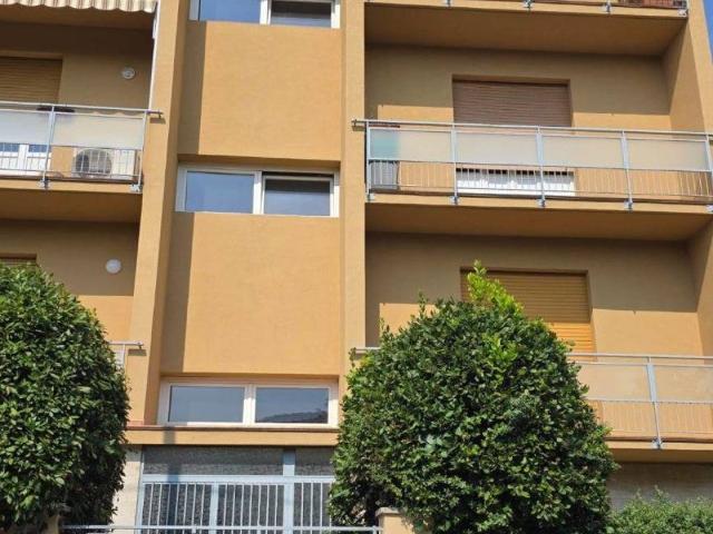 Appartamento in affitto a Bologna BO