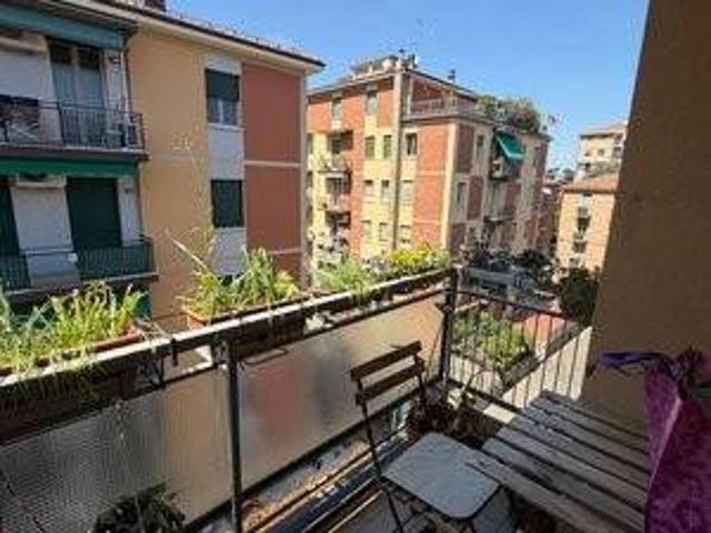 Appartamento in affitto a Bologna BO