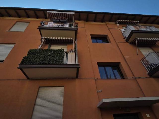 Appartamento in affitto a Bologna BO
