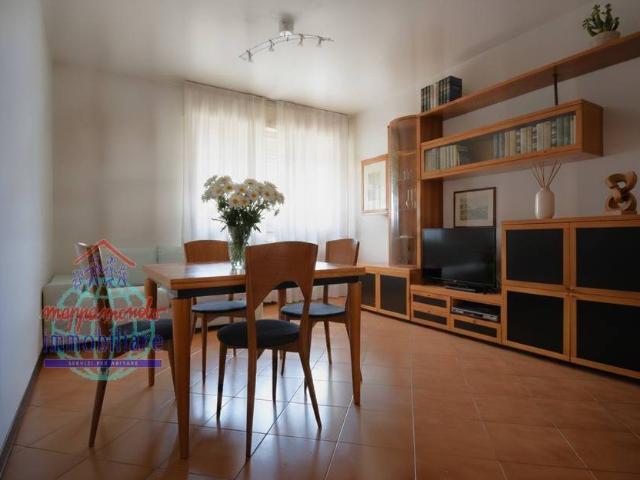 Appartamento in affitto a Bologna BO