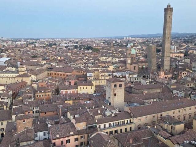 Appartamento in affitto a Bologna BO