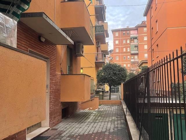 Appartamento in affitto a Bologna BO