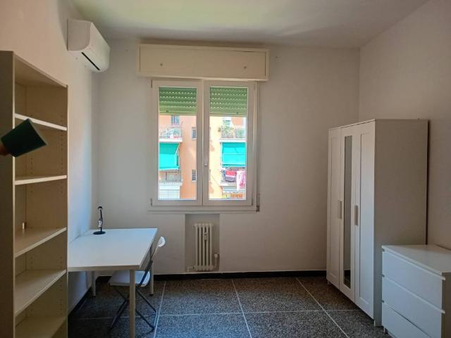 Appartamento in affitto a Bologna BO
