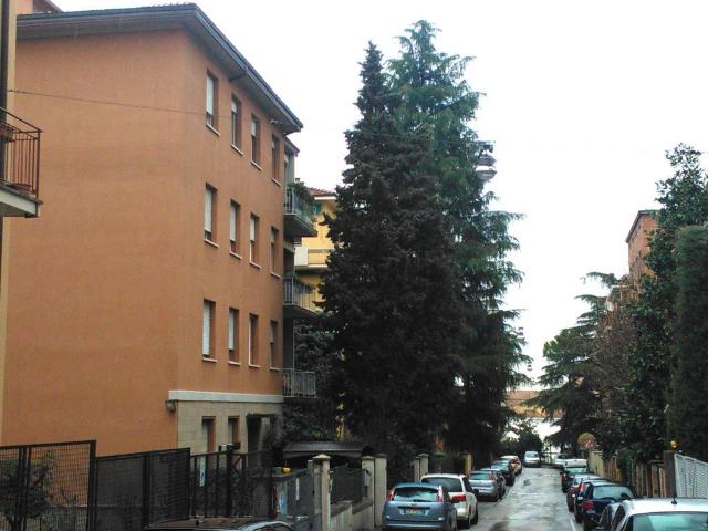 Appartamento in affitto a Bologna BO