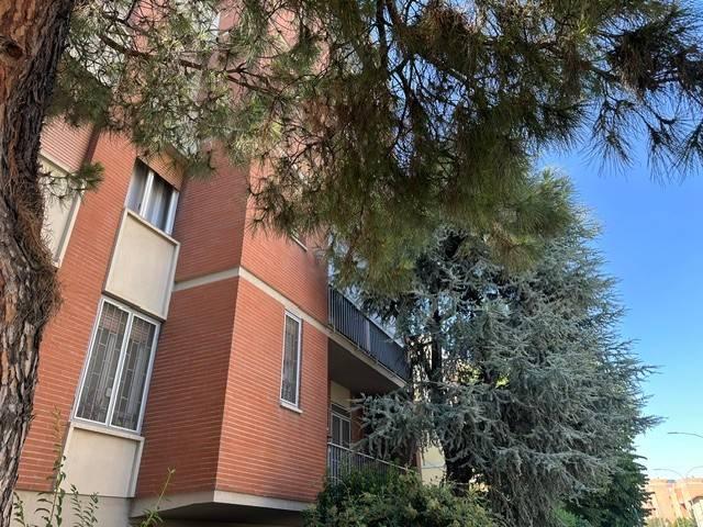 Appartamento in affitto a Bologna BO