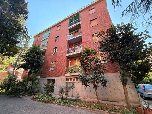 Appartamento in affitto a Bologna BO