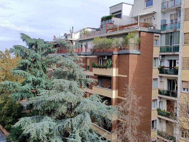 Appartamento in affitto a Bologna BO