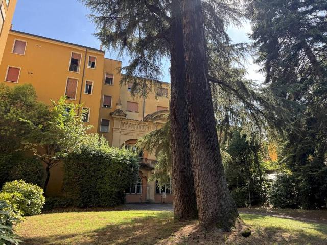 Appartamento in affitto a Bologna BO