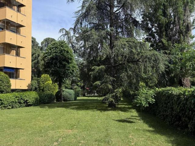 Appartamento in affitto a Bologna BO