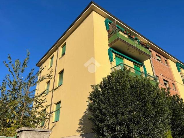 Appartamento in affitto a Bologna BO