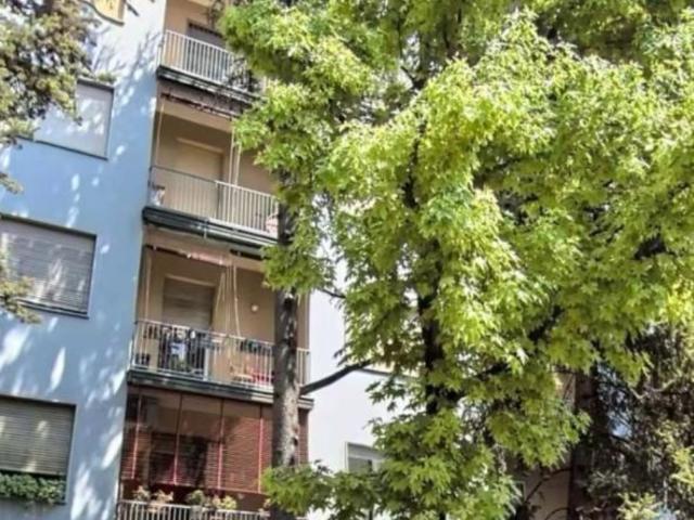 Appartamento in affitto a Bologna via Nino Bixio Scota, 11, arredato, terrazzo, giardino condominiale TrovaCasa