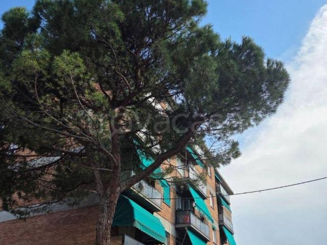 Appartamento in affitto a Bologna via Speranza, arredato, in costruzione, ascensore TrovaCasa