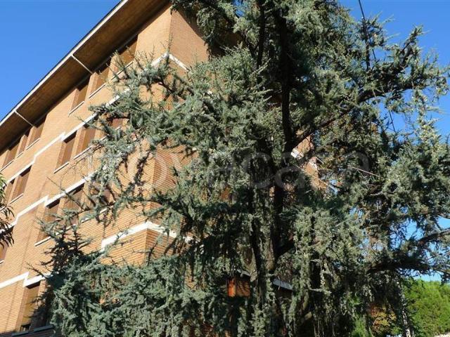 Appartamento in affitto a Bologna via Valdossola, 25, Costa