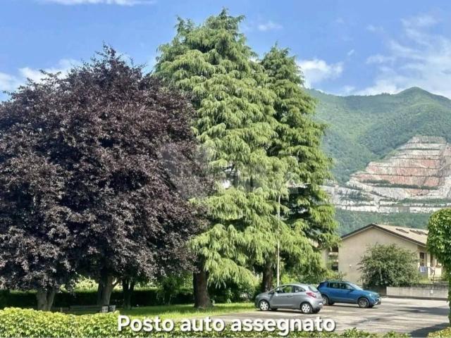 Appartamento in affitto a Bosisio Parini