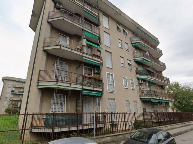 Appartamento in affitto a Brugherio