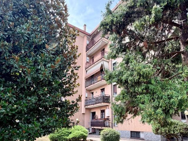 Appartamento in affitto a Brugherio MB