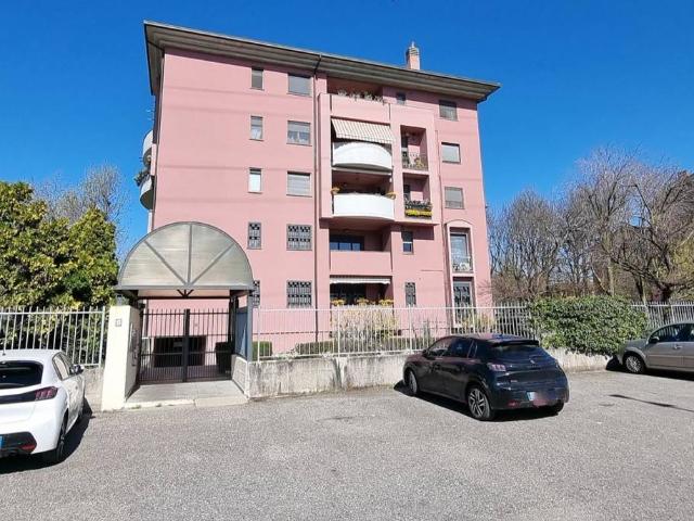 Appartamento in affitto a Brugherio MB