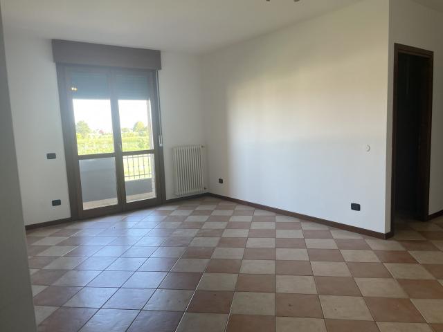 Appartamento in affitto a Brugine