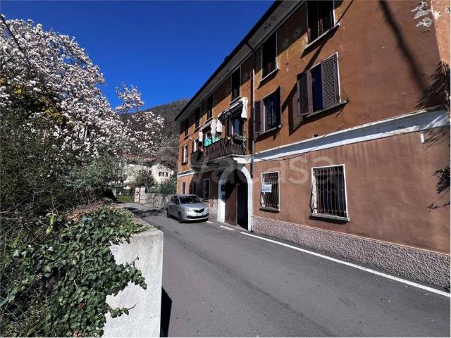 Appartamento in affitto a Cuveglio vidoletti, 36, arredato, giardino, buono stato TrovaCasa