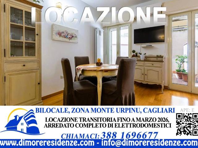 Appartamento in affitto a Cagliari CA