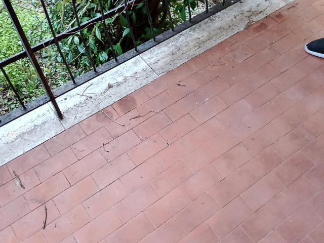 Appartamento in affitto a Caletta Rosignano Marittimo