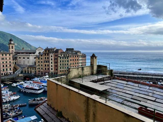 Appartamento in affitto a Camogli GE