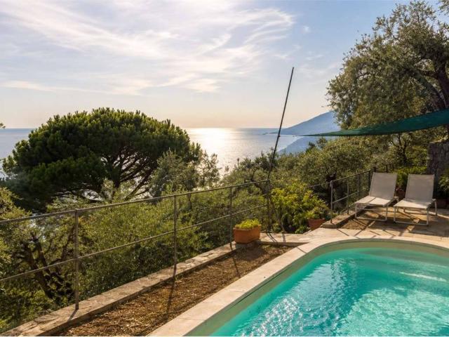 Appartamento in affitto a Camogli GE