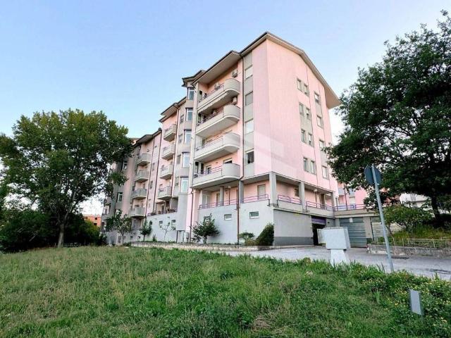 Appartamento in affitto a Campobasso CB