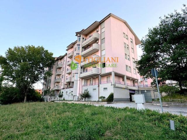 Appartamento in affitto a Campobasso CB