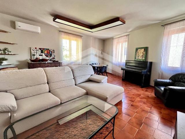Appartamento in affitto a Campobasso Centro Cod. 5AA138
