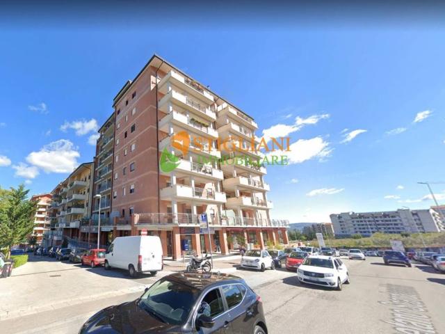 Appartamento in affitto a Campobasso via Scardocchia, arredato, terrazzo, riscaldamento autonomo TrovaCasa
