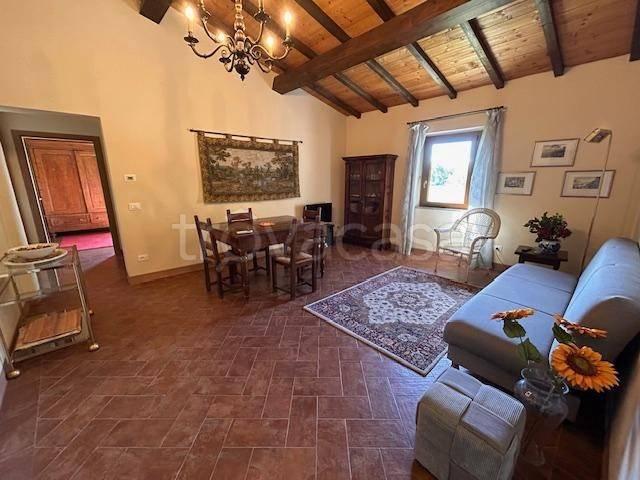 Appartamento in affitto a Casciana Terme Lari via Maremmana