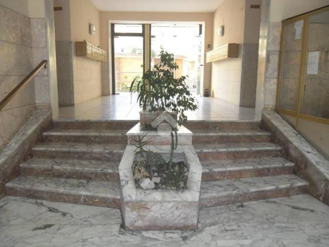 Appartamento in affitto a Caserta