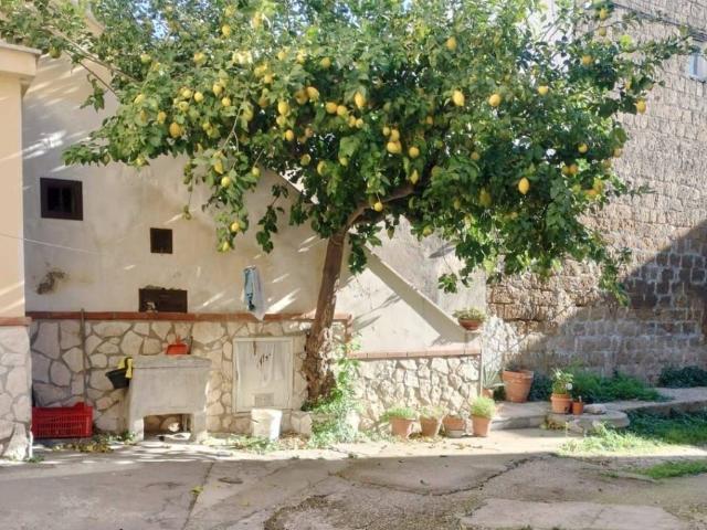 Appartamento in affitto a Caserta CE