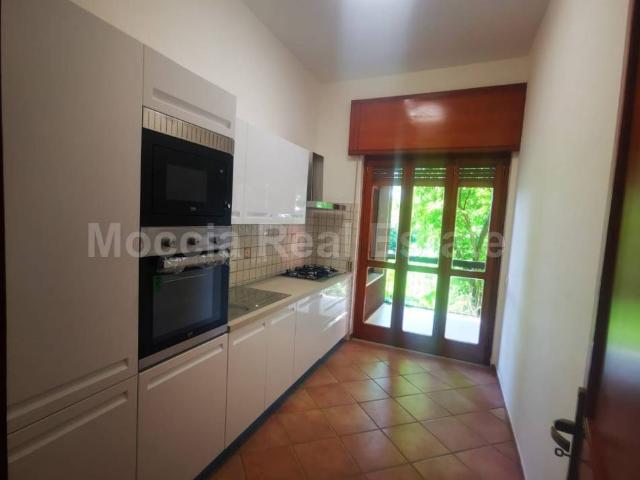 Appartamento in affitto a Caserta CE