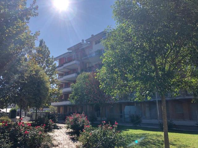 Appartamento in affitto a Cassino FR