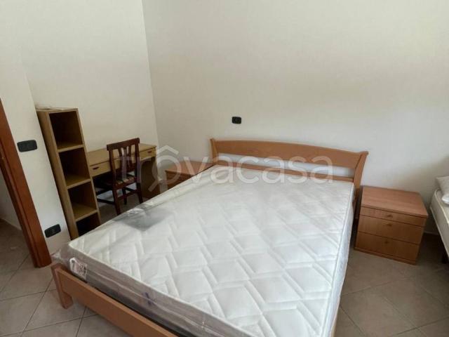Appartamento in affitto a Cassino via Lungofiume Madonna di Loreto, arredato, giardino privato, terrazzo TrovaCasa