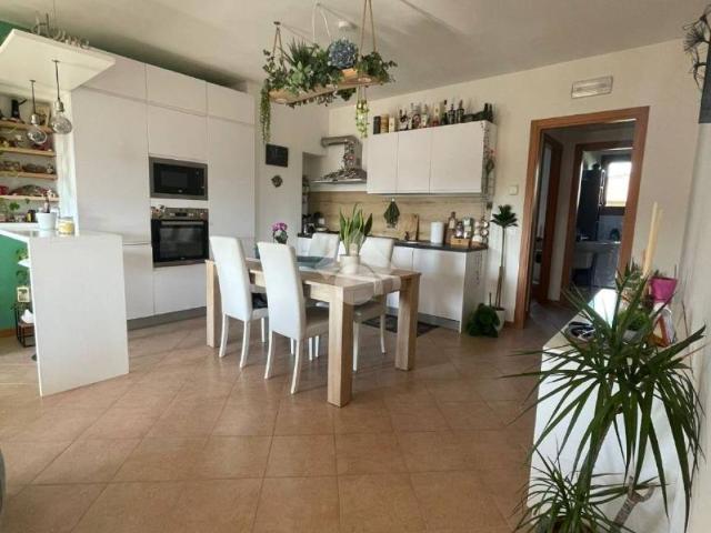 Appartamento in affitto a Cassola, box, terrazzo, parzialmente arredato TrovaCasa