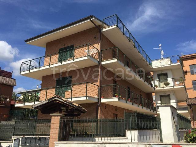 Appartamento in affitto a Castel Gandolfo via Trento, box, terrazzo, riscaldamento autonomo TrovaCasa