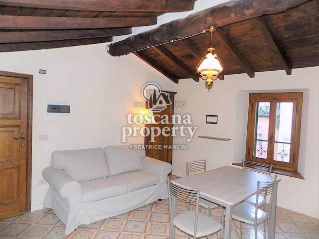 Appartamento in affitto a Castelnuovo di Garfagnana LU